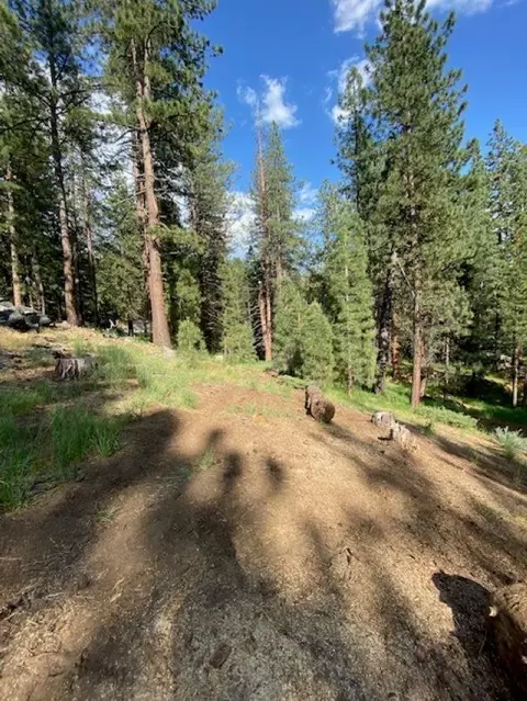 1066 Buckskin Ln, Portola, CA 96122