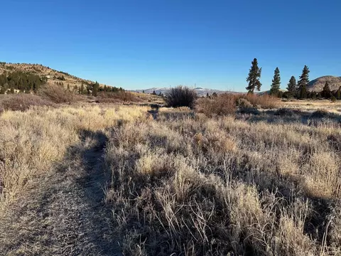 155 Smithneck Rd, Loyalton, CA 96118 photo 4