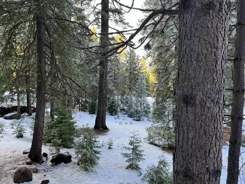 147 Slim Dr, Lake Almanor West, CA 96020 photo 12