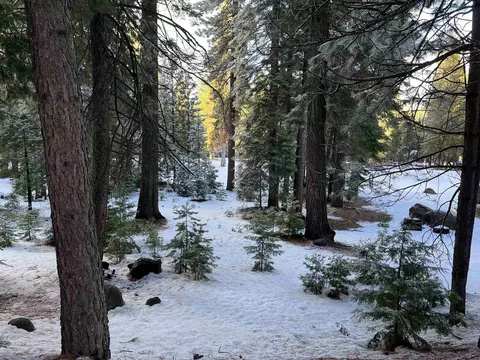 147 Slim Dr, Lake Almanor West, CA 96020 photo 9
