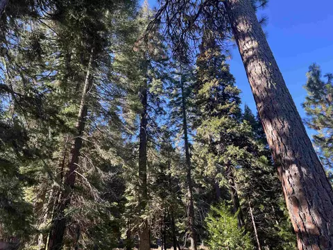 147 Slim Dr, Lake Almanor West, CA 96020 photo 8