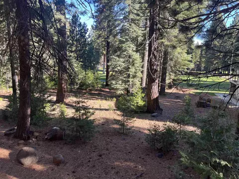 147 Slim Dr, Lake Almanor West, CA 96020 photo 3