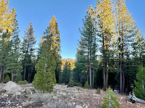 501 Red Sky #9, Portola, CA 96122