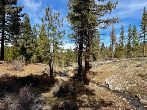 450 Emerald Pt #17, Portola, CA 96161
