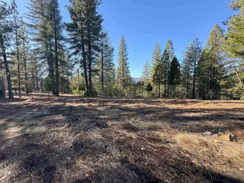1210 Upper Pecks Valley Rd, Greenville, CA 95947