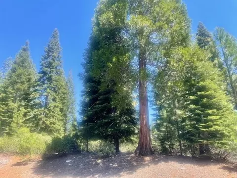 231 Fox Crest Dr #FG, Lake Almanor, CA 96137