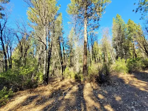 59791 Highway 70, Blairsden, CA 96103 photo 12