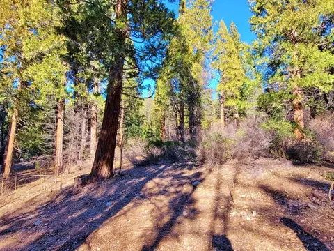 59791 Highway 70, Blairsden, CA 96103 photo 7