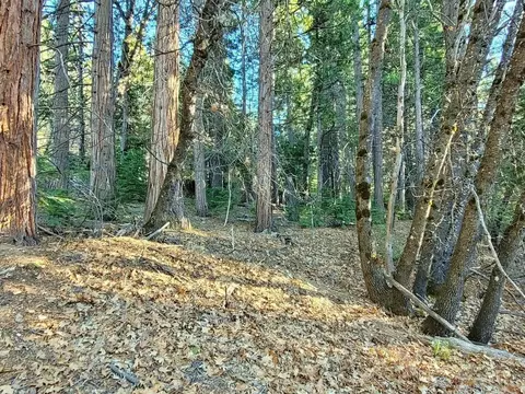 59791 Highway 70, Blairsden, CA 96103 photo 8