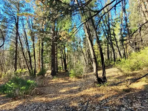 59791 Highway 70, Blairsden, CA 96103 photo 6