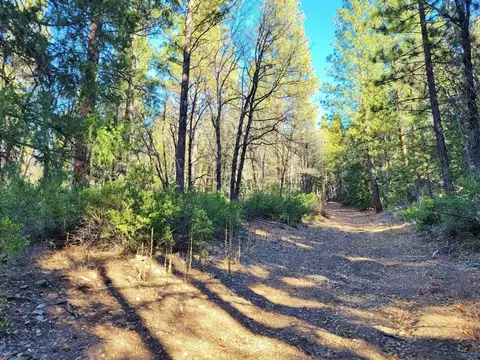 59791 Highway 70, Blairsden, CA 96103 photo 4