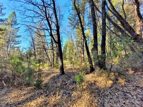 59791 Highway 70, Blairsden, CA 96103 photo 10