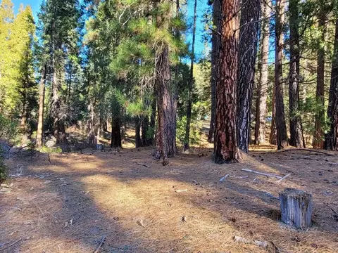 59791 Highway 70, Blairsden, CA 96103 photo 3