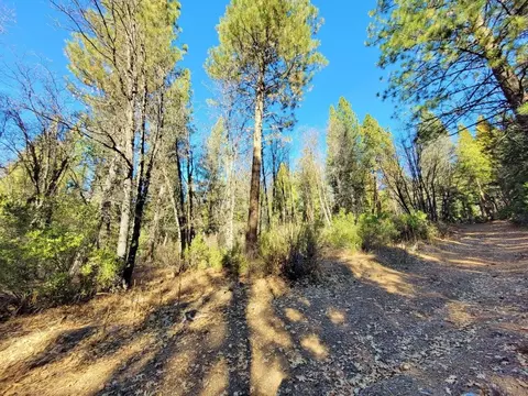 59791 Highway 70, Blairsden, CA 96103 photo 11