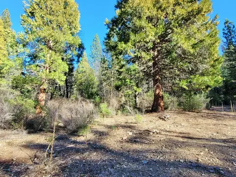 59791 Highway 70, Blairsden, CA 96103 photo 5