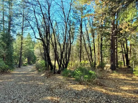 59791 Highway 70, Blairsden, CA 96103 photo 9