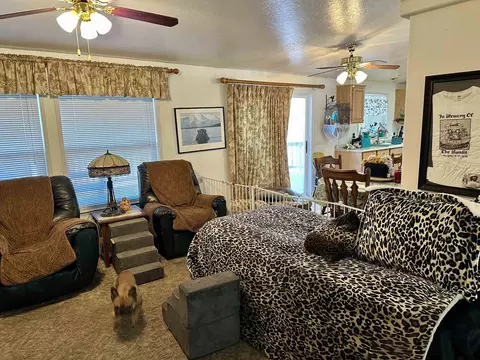 301 Watson Rd, Chester, CA 96020 photo 14
