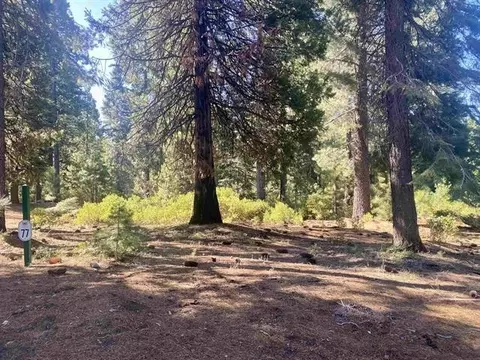 31 Fox Trl, Lake Almanor, CA 96137