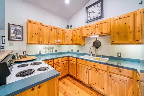1301 Ringtail Ct, Clio, CA 96106 photo 4