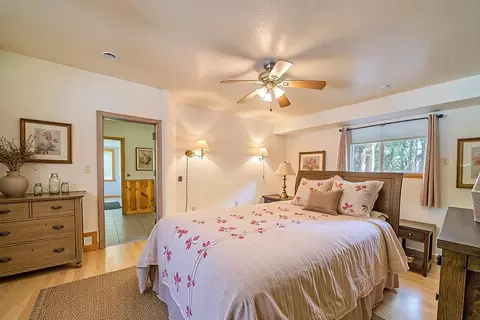 1301 Ringtail Ct, Clio, CA 96106 photo 9