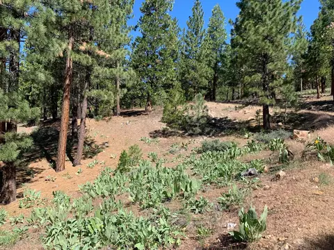 224 Peppergrass Ln, Portola, CA 96122