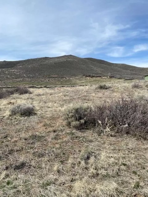 771 Meadow View Ln, Chilcoot, CA 96122