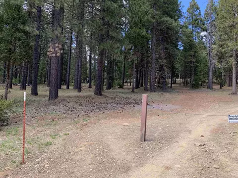 6499 Salem Rd, Lake Almanor, CA 96137