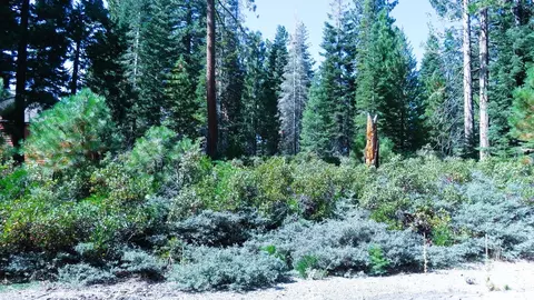 343 Red River Dr, Lake Almanor, CA 96137