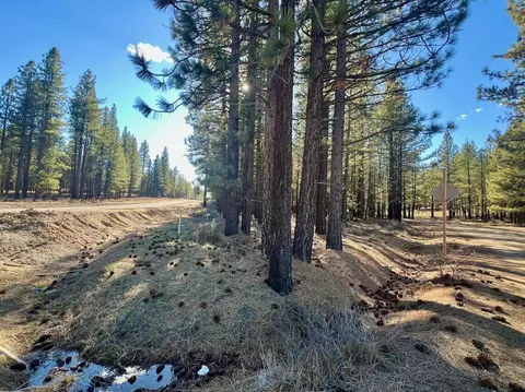 71849 Carrie Court Trl, Delleker, CA 96122