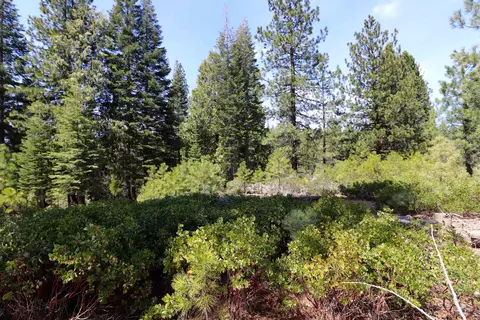 586 Bailey Creek Dr, Lake Almanor, CA 96137