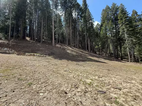 66 Paiute Trl, Graeagle, CA 96103 photo 31