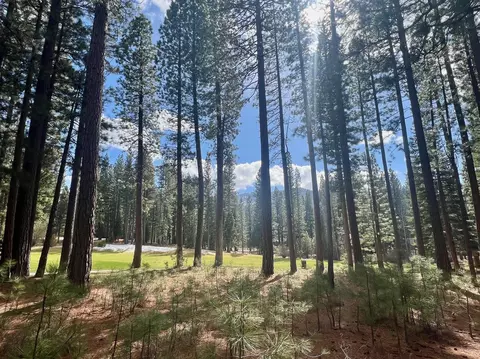 879 Prospector Dr, Clio, CA 96106