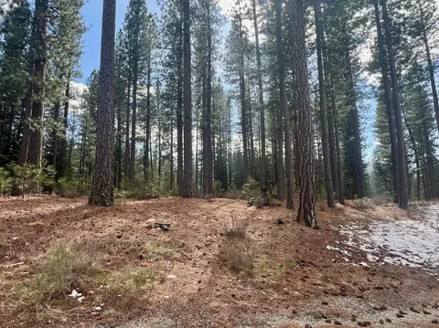 879 Prospector Dr, Clio, CA 96106 photo 24