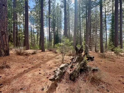 879 Prospector Dr, Clio, CA 96106 photo 8