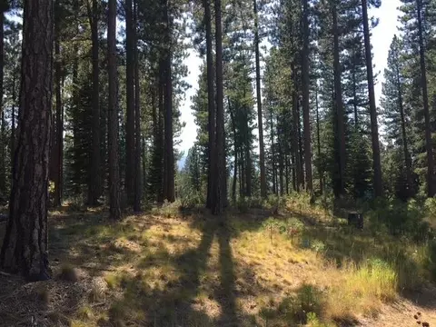 879 Prospector Dr, Clio, CA 96106 photo 27