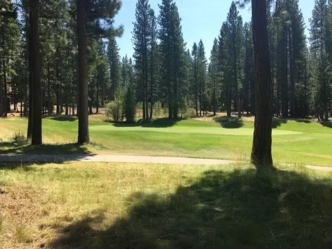 879 Prospector Dr, Clio, CA 96106 photo 28