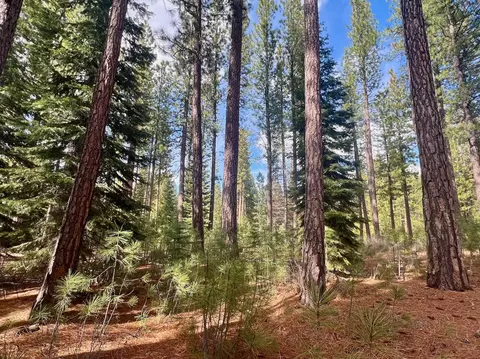 879 Prospector Dr, Clio, CA 96106 photo 19
