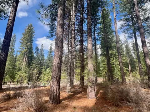 879 Prospector Dr, Clio, CA 96106 photo 20