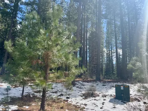 879 Prospector Dr, Clio, CA 96106 photo 9