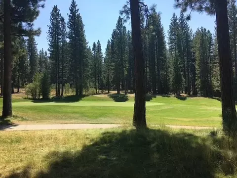 879 Prospector Dr, Clio, CA 96106 photo 2