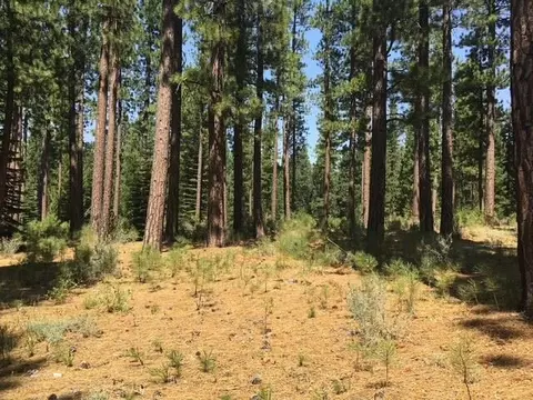 879 Prospector Dr, Clio, CA 96106 photo 7