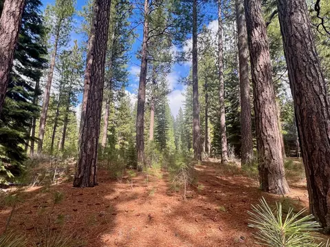 879 Prospector Dr, Clio, CA 96106 photo 3