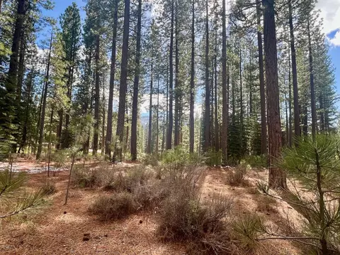 879 Prospector Dr, Clio, CA 96106 photo 14