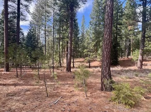 856 Prospector Dr, Clio, CA 96106 photo 11