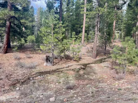 856 Prospector Dr, Clio, CA 96106 photo 17