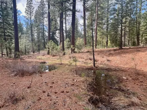 856 Prospector Dr, Clio, CA 96106 photo 15