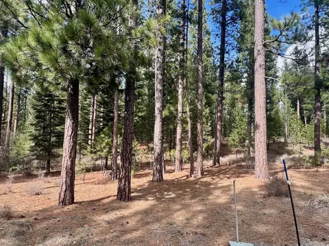 856 Prospector Dr, Clio, CA 96106 photo 9