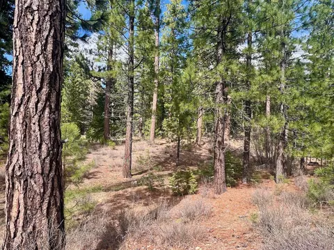 856 Prospector Dr, Clio, CA 96106 photo 6