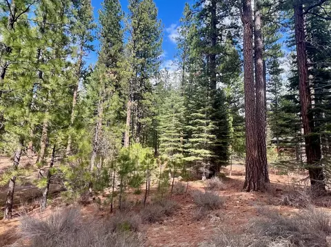 856 Prospector Dr, Clio, CA 96106 photo 7