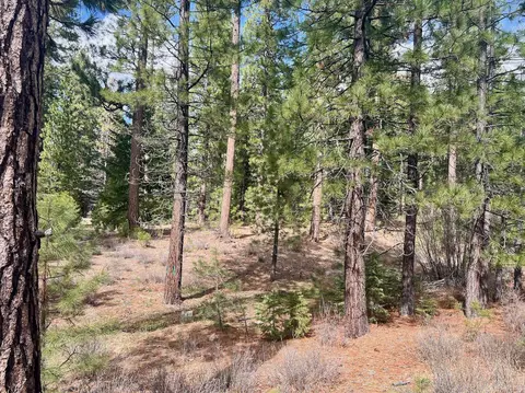 856 Prospector Dr, Clio, CA 96106 photo 4